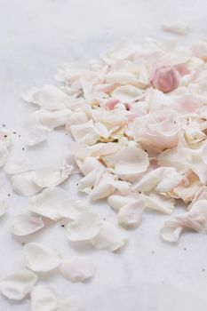 rose flower petals on marble - wedding, holiday and floral garden styled concept