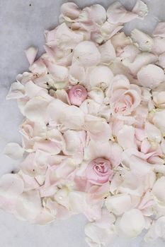 rose flower petals on marble - wedding, holiday and floral garden styled concept