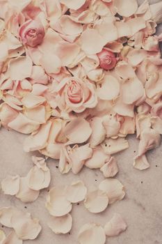 rose flower petals on marble - wedding, holiday and floral garden styled concept