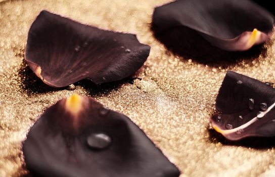 black rose flower petals - wedding, holiday and floral garden styled concept