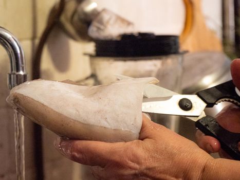 cleaning a raw adriatic cuttlefish at home in Numana, Marche, Italy
