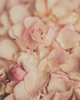 rose flower petals on marble - wedding, holiday and floral garden styled concept, elegant visuals