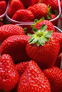 Strawberries packaged in box, sweet ripe perfect strawberry harvest, organic garden and agriculture concept