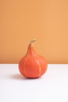 Orange mini pumpkin with hard shadow on white orange background