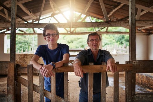 The family farm. a mature farmer and his young son standing in a barn on the family farm