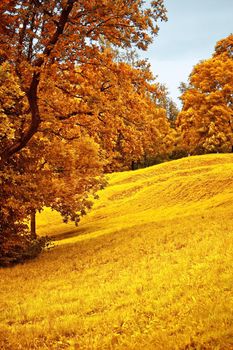 fall scenery, beauty of autumn - nature and environment concept, elegant visuals