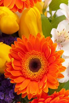 beautiful bouquet of colorful spring flowers. tulip, ranunculus, hyacinth, daisy, gerber