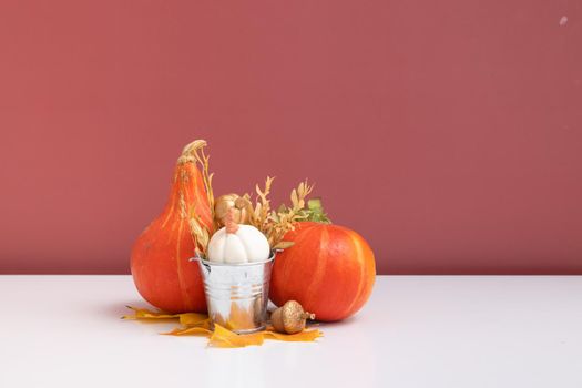 Autumn composition. Pumpkins and Dried leaves on white pink background. Autumn fall and thanksgiving day concept. Still life.