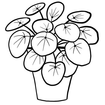 Chinese money plant pilea in a pot in black line outline cartoon style. Coloring book houseplants flowers plant for interrior design in simple minimalist design, plant lady gift