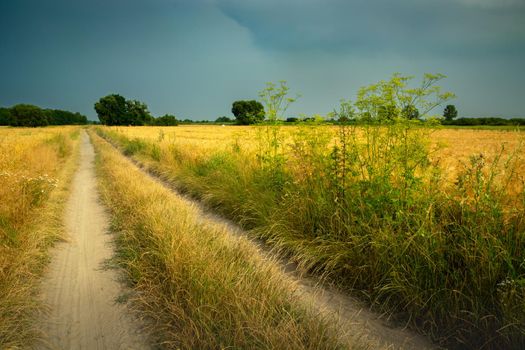 A dirt road through fields and cloudy skies, summer rural view