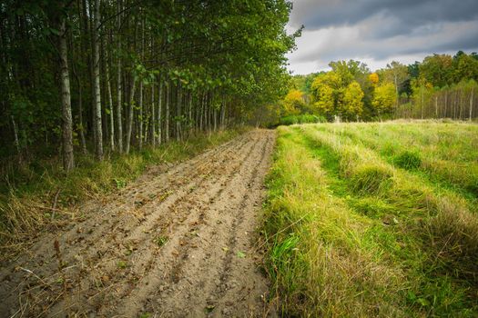 Ploughed strip of land by the forest and cloudy sky