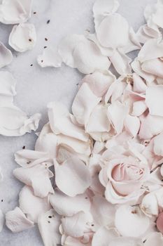 rose flower petals on marble - wedding, holiday and floral garden styled concept, elegant visuals