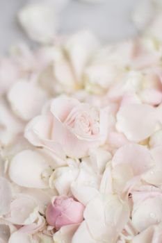 rose flower petals on marble - wedding, holiday and floral garden styled concept, elegant visuals