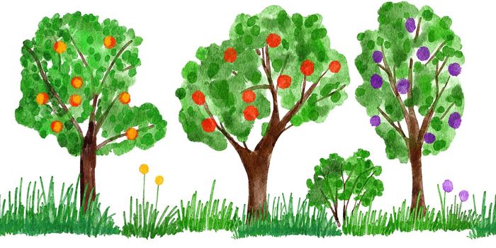 Watercolor hand drawn seamless border illustration of orchard fruit trees, farm harvest. Green leaves leaf foliage organic food with grass bushes branches. Yellow red apples, plums, hears. Nature natural forest wood picture clipart