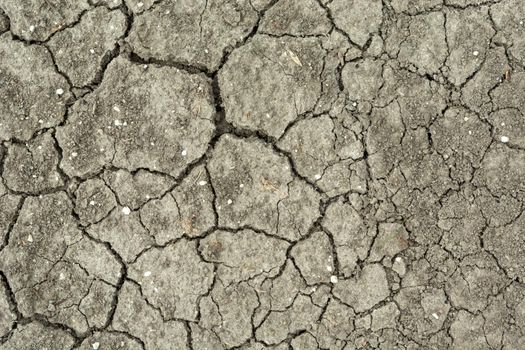 Cracked dry gray soil, earth background