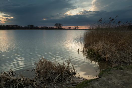 Shore of a lake with reeds and cloudy evening sky