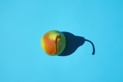 pear on a blue background with a hard shadow. photo