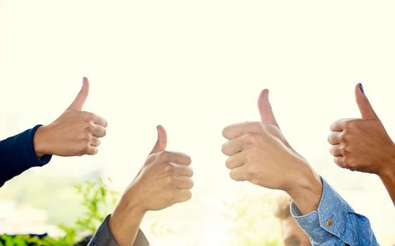 You did it and we love it. Closeup shot of a group of unrecognizable businesspeople showing thumbs up together