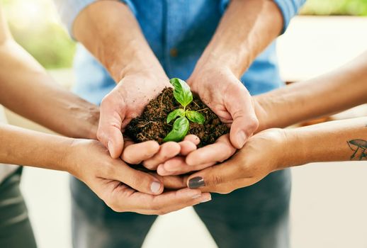 Growth requires the right amount of commitment and care. Closeup shot of a group of people holding a plant growing out of soil