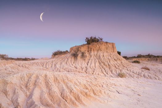 Dawn light over the desert lunette of shifting sands and scrub plants that are ever changing