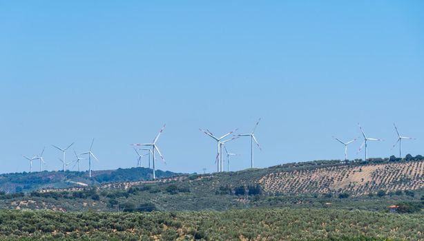 Panoramic view of wind farm or wind park, with turbines for generation electricity on sunny summer day. Green energy concept. Eco renewable energy power. Panorama