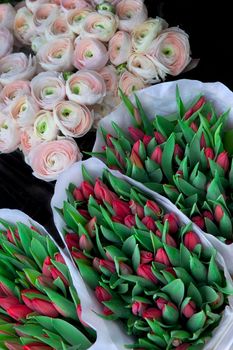 Buttercups and tulips on a florist stall