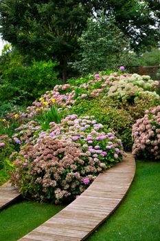 Ornamental garden with pink hydrangea and wooden walkways