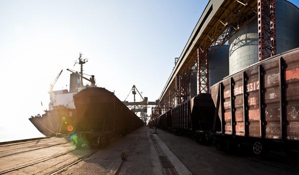 Loading grain into holds of sea cargo vessel in seaport from silos of grain storage. Bunkering of dry cargo ship with grain.