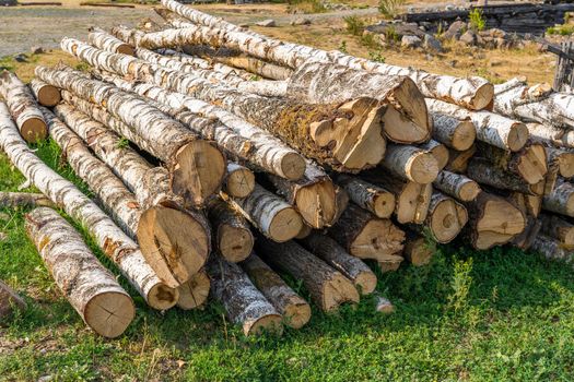 The birch logs lie on the grass in the village