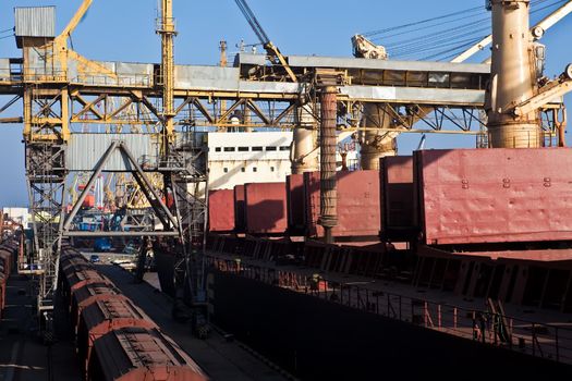Loading grain into holds of sea cargo vessel in seaport from silos of grain storage. Bunkering of dry cargo ship with grain.