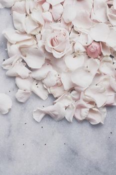 rose flower petals on marble - wedding, holiday and floral garden styled concept, elegant visuals