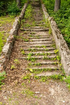 vertical photo. an old dilapidated stone staircase with steps to the top overgrown with grass from time to time. Old buildings