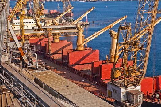 Loading grain into holds of sea cargo vessel in seaport from silos of grain storage. Bunkering of dry cargo ship with grain.