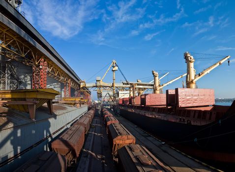 Loading grain into holds of sea cargo vessel in seaport from silos of grain storage. Bunkering of dry cargo ship with grain.