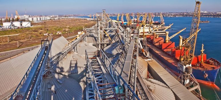 Loading grain into holds of sea cargo vessel in seaport from silos of grain storage. Bunkering of dry cargo ship with grain.