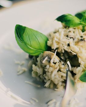 european and mediterranean cuisine styled concept - mushroom risotto recipe, elegant visuals