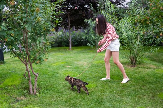 Young woman walking a tabby cat outdoors