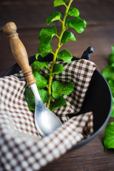 Rustic table setting with vintage ceramic plates and branch of ivy plant on dark old wooden table with copyspace