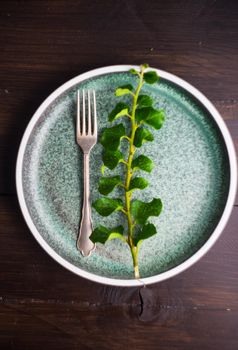 Rustic table setting with vintage ceramic plates and branch of ivy plant on dark old wooden table with copyspace