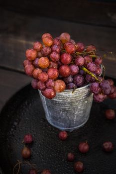 Fresh organic autumnal grapes on rustic plates on old wooden table with copyspace