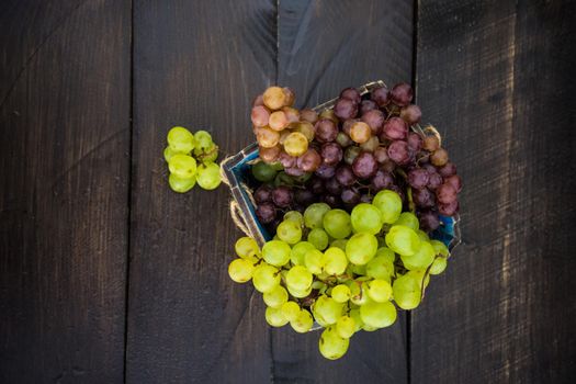 Fresh organic autumnal grapes on rustic plates on old wooden table with copyspace