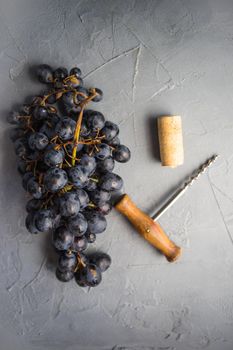 Organic ripe grape and vintage corkscrew on rustic background as a wine concept