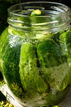 Pickled cucumbers in glass jars with herbs., close up, selective focus.