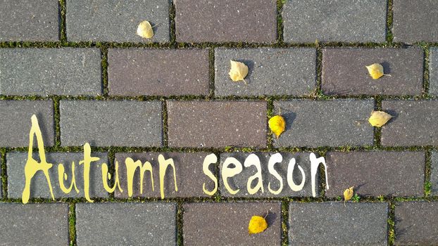 Yellow and white inscription Autumn Season on background of gray brick road with sprouted grass between it and yellow autumn leaves. Top view, flat lay