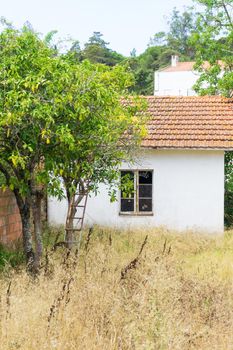Abandoned house with white walls and a tiled roof