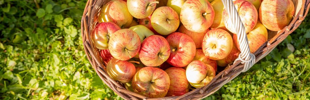 Juicy red apples in a basket on a textured table background, top view, flat lay. Space for text.