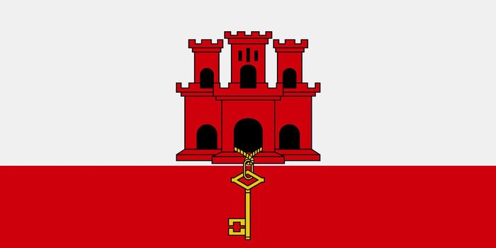 A Gibraltar flag background illustration red white castle