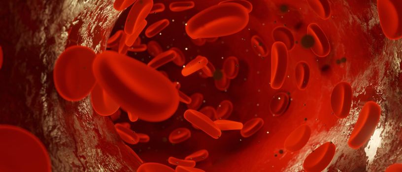 3d red streaming blood cells banner panorama. 3D Illustration