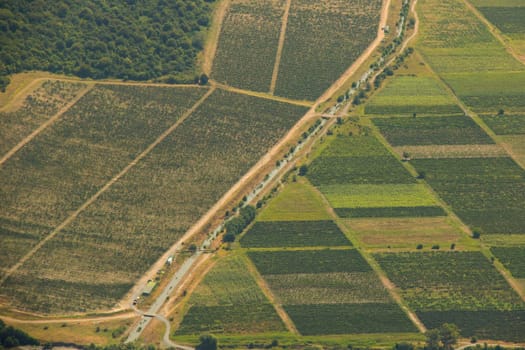 Telavi view and landscape from the helicopter, Georgian nature and beautiful fields, agriculture