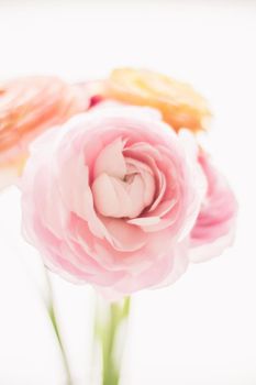 pink rose flowers from the garden - wedding, holiday and floral garden styled concept, elegant visuals